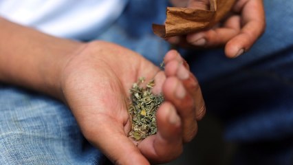 So verändert sich euer Körper, wenn ihr 5 Jahre lang jeden Tag Cannabis raucht!