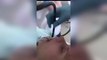 Doctor removes 4ft snake after it slithered down a woman's mouth as she slept