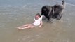 This dog thought his human was drowning, what he does next will melt your heart