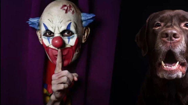 Do You See a Dog Or an Evil Clown? This Optical Illusion Will Drive You Crazy