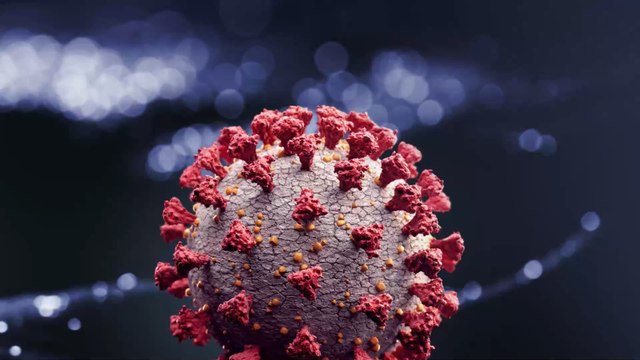 The new coronavirus that can be transmitted from pigs to humans is worrying researchers