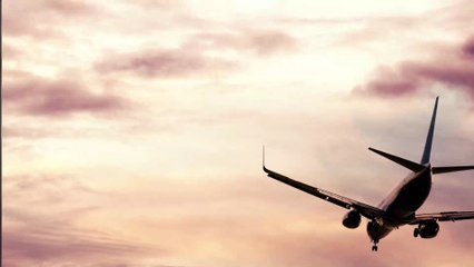 She was not allowed to board the plane because of her 'obscene' outfit (PHOTOS)