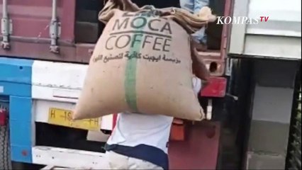 Mantap! Petani Purbalingga Ekspor Kopi 38 Ton ke Mesir!