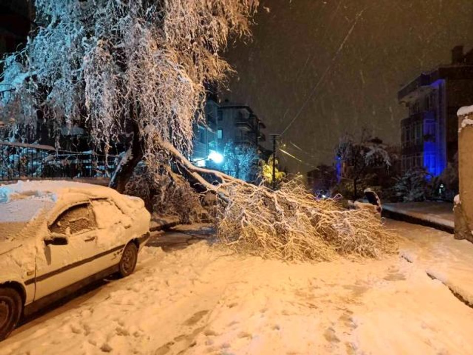 Yoğun kar yağışına dayanamayan ağaç dalları kırılarak anayolu kapattı