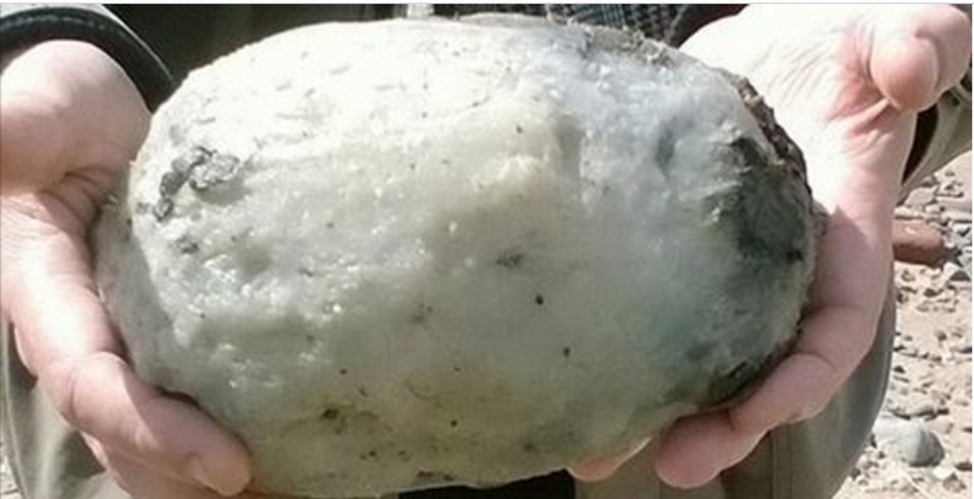 Ekelhafter Fund am Strand macht ein britisches Ehepaar reich