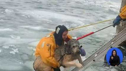 [굿모닝월드] 얼음 위 강아지 구출 작전