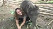 This Baby Elephant Loves Her Keeper So Much... What Happens Next Will Melt Your Heart