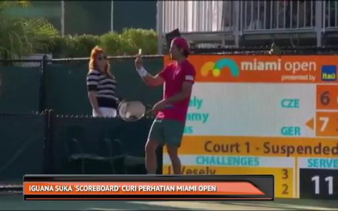Iguana suka 'scoreboard' curi perhatian Miami Open