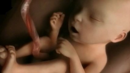 This Incredible Video Shows 9 Months Of Fetal Development In Just A Few Minutes