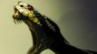 Study suggests humans could become venomous