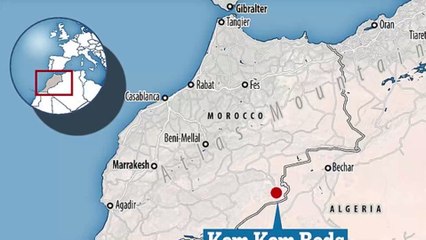 A new 72-year-old species of mammal has been discovered in Chile