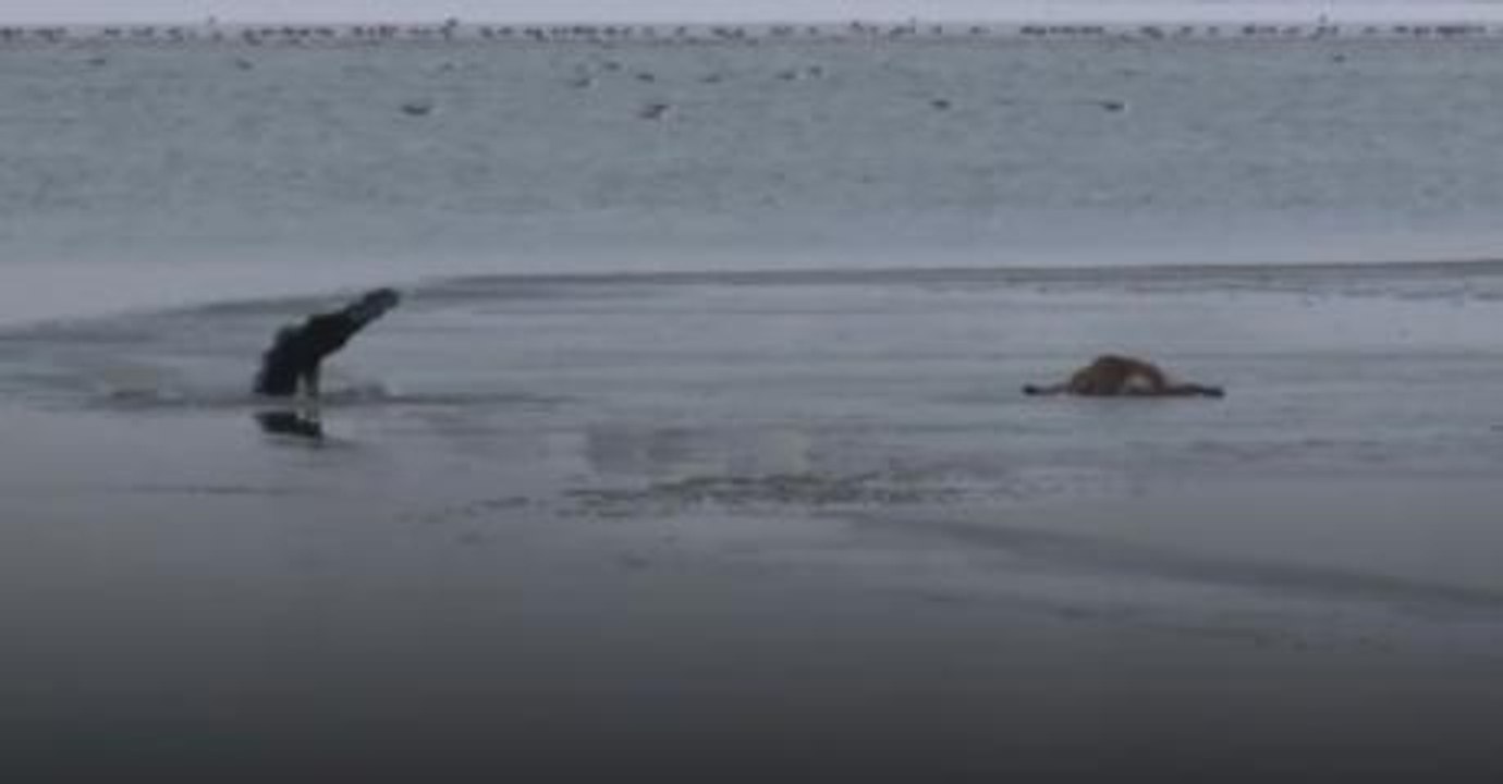 He risked his life to save a dog drowning in freezing water