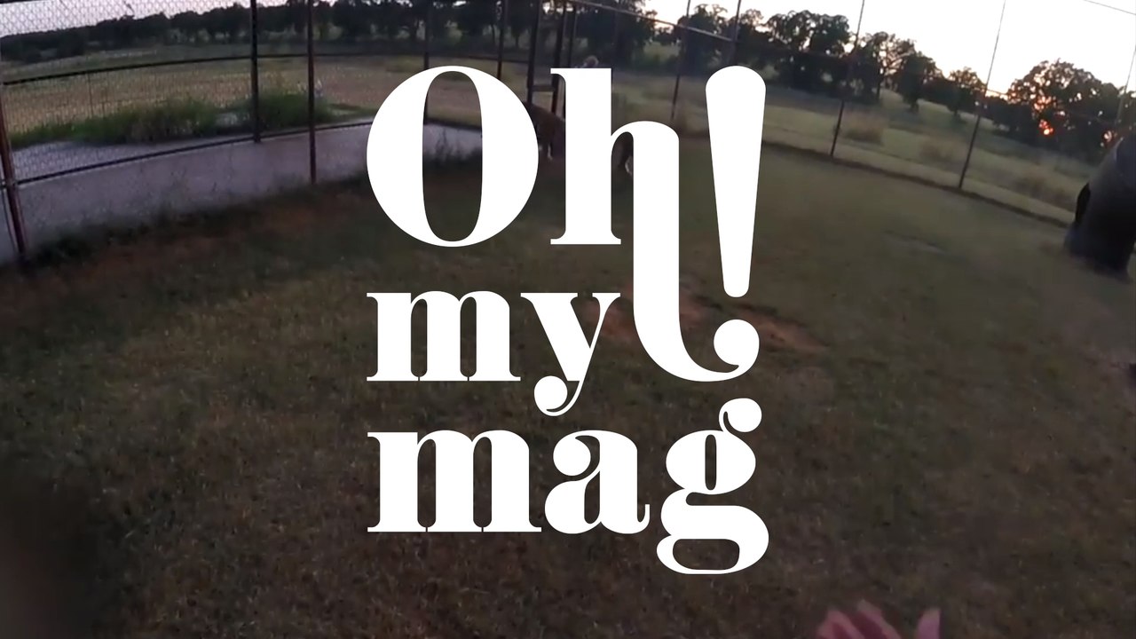 Pfleger fallen aus allen Wolken, als sich die Tiger dem Planschbecken nähern