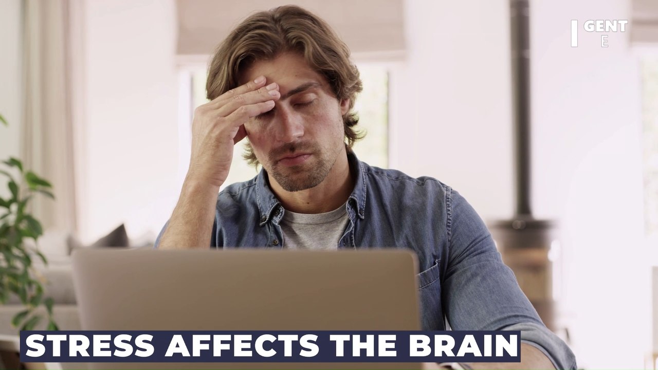 Neuroscientist reveals what really happens to your brain after you die