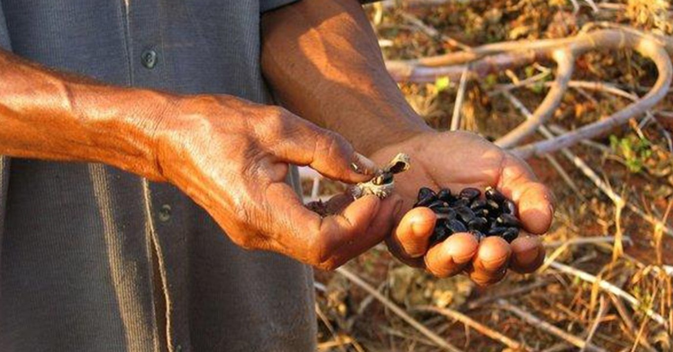 Tödliche Toxine: Das sind die fünf stärksten natürlichen Gifte der Welt