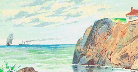 Nur 0,8 % aller Internetnutzer findet alle Tiere in diesem Bild