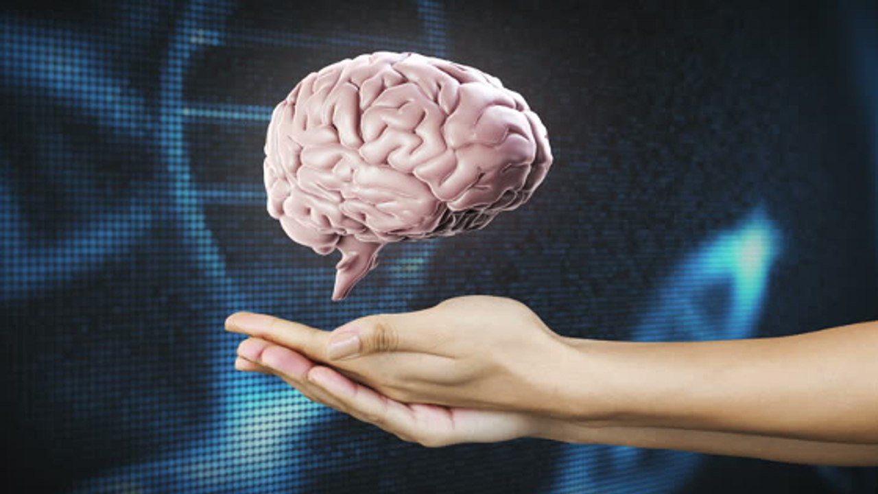 Nicht unser Gehirn: Dieser Körperteil bestimmt, ob man Links- oder Rechtshänder ist
