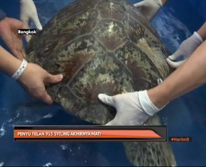 Penyu telan 915 syiling akhirnya mati