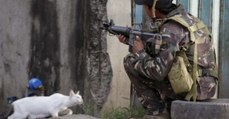 Weil es etwas ganz Bestimmtes will: Kätzchen verfolgt Soldaten auf Schritt und Tritt