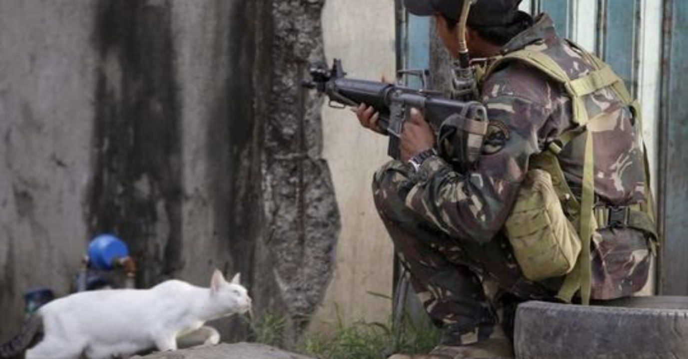 Weil es etwas ganz Bestimmtes will: Kätzchen verfolgt Soldaten auf Schritt und Tritt