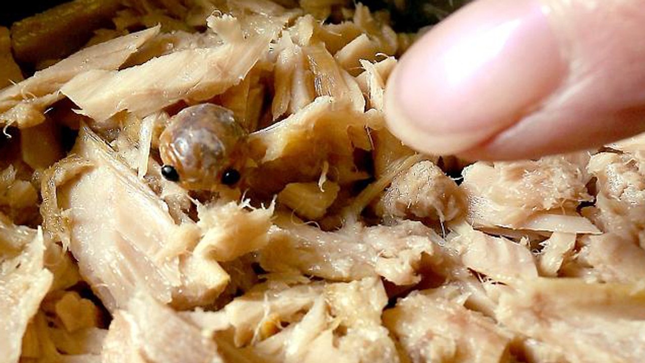 Sie entdeckt in ihrer Thunfisch-Dose etwas, mit dem sie niemals gerechnet hätte!