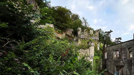 I’m A Celeb: Olympic diving star Matty Lee 'signs up' as camp mate