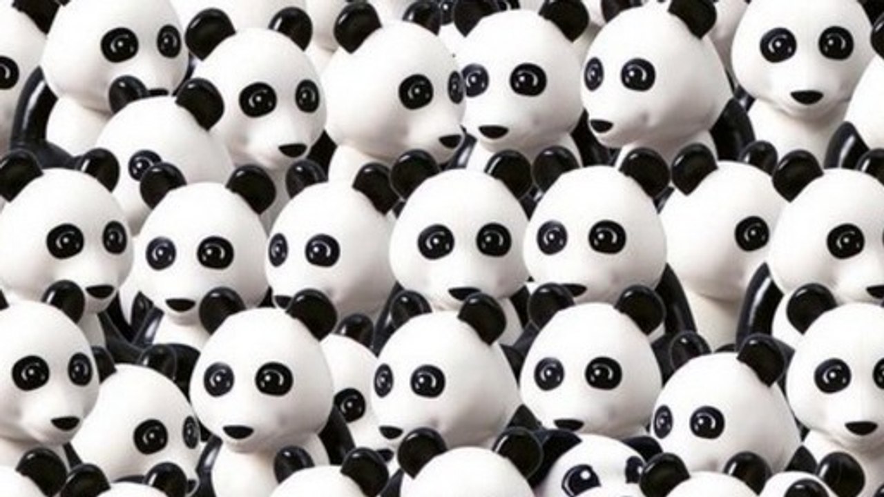 Findest du das Hündchen zwischen all den Pandabären?