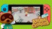 Animal Crossing (Switch) : date de sortie, trailer, news et gameplay