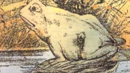 Kniffliges Rätsel: Das zweite Tier auf dem Bild zu finden, ist beinahe unmöglich!