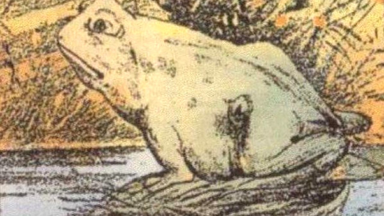 Kniffliges Rätsel: Das zweite Tier auf dem Bild zu finden, ist beinahe unmöglich!