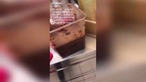 KFC: Woman makes a disgusting discovery while eating Hot Wings (Photo)