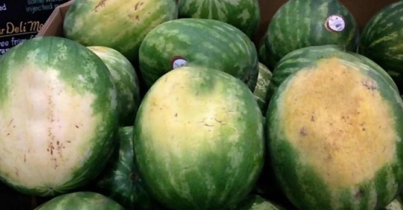 Wassermelone: Nur eine der drei solltest du wirklich kaufen!