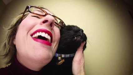 Gesundheit: Ärzt:innen warnen davor, Katzen einen Kuss zu geben