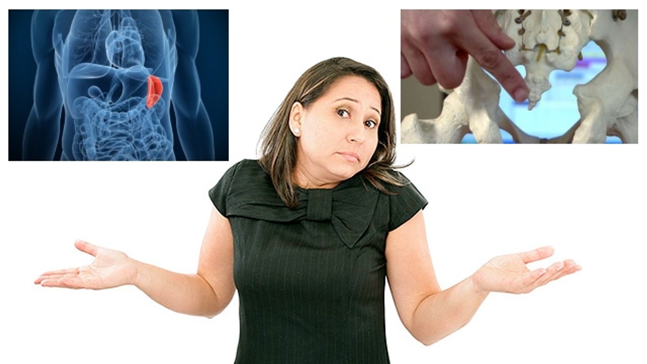 Körperteile und ihre Funktionen: Kennst du sie alle?