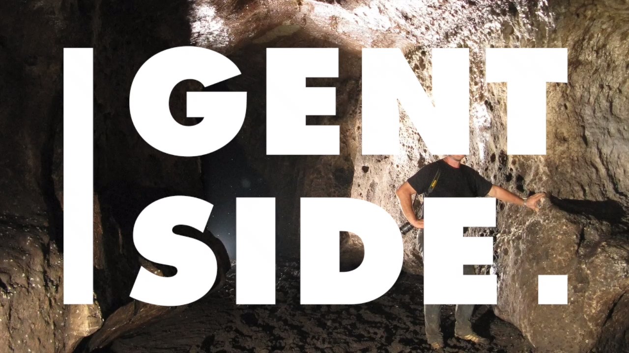 Neue Krokodilart? Orangefarbene Krokodile wurden in Höhle entdeckt