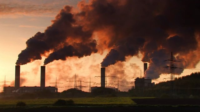 David Attenborough: Why was the broadcaster nominated for the Nobel Peace Prize?