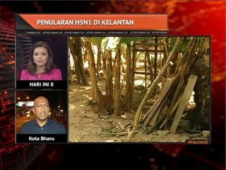 Penularan wabak H5N1 di Kelantan