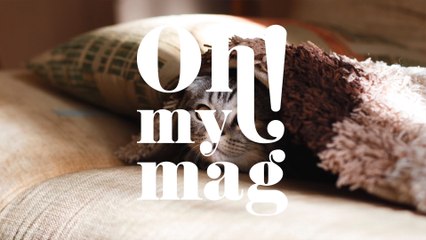 3 Simple Tips To Get Pet Hair Off Your Clothes, Floor And Furniture