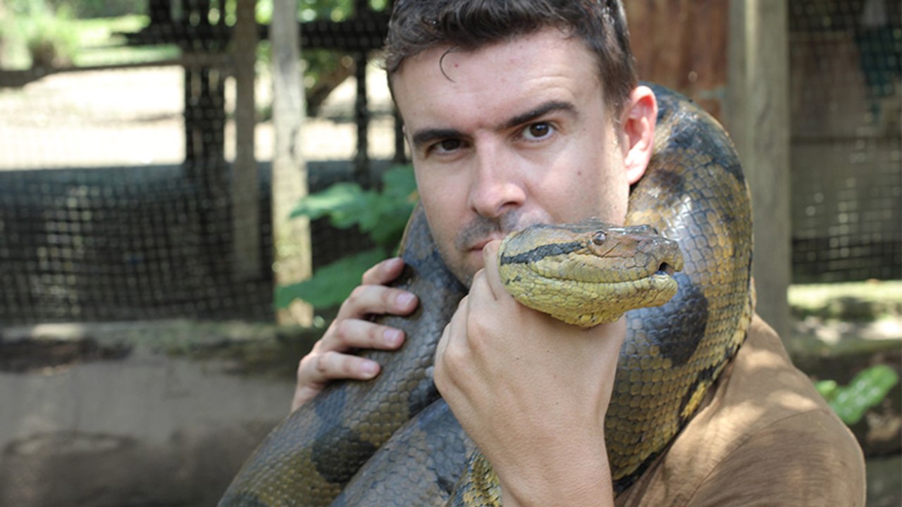 Abenteurer lässt sich bei lebendigem Leib von Anakonda fressen