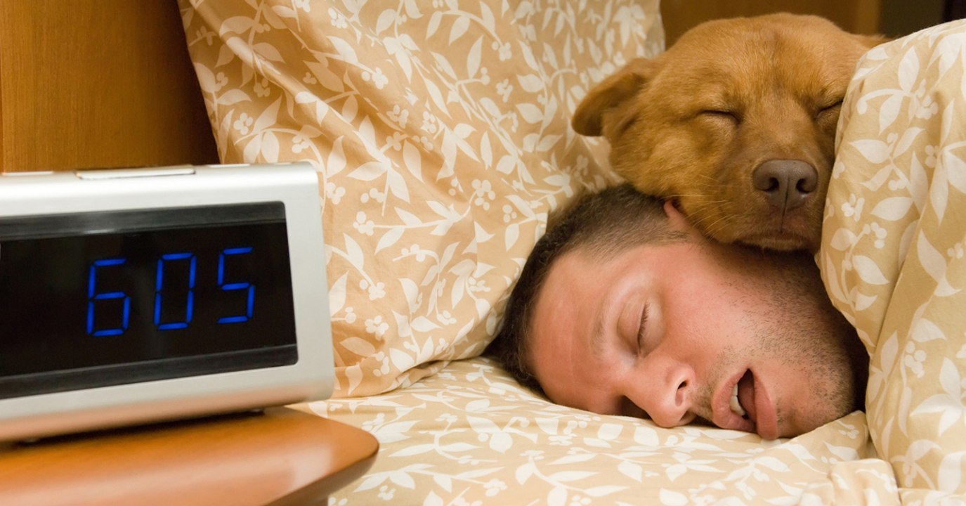Hundemüde: So hilft dir dein Hund beim Einschlafen