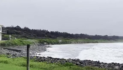 Crowdy Bay, Mid North Coast