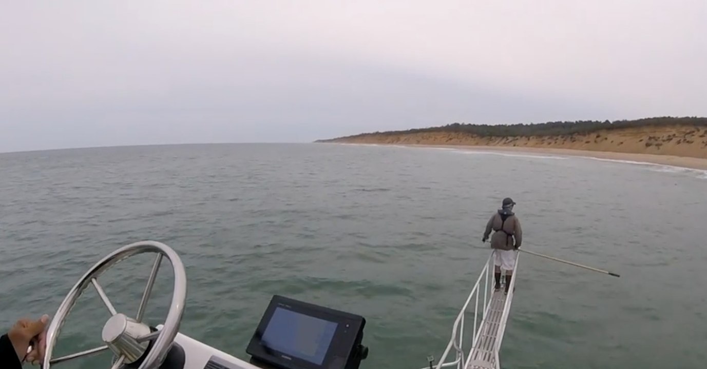 Forscher untersucht Wasser, als ihn plötzlich etwas Gewaltiges anspringt