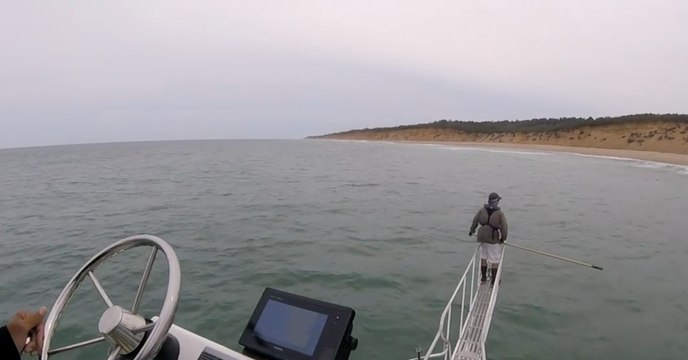 Forscher untersucht Wasser, als ihn plötzlich etwas Gewaltiges anspringt