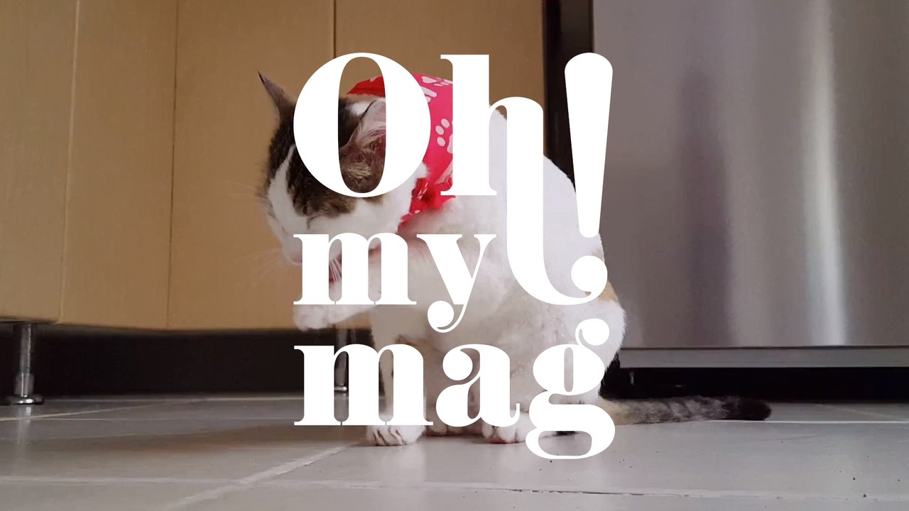 Aus diesem Grund haben Katzen eine raue Zunge