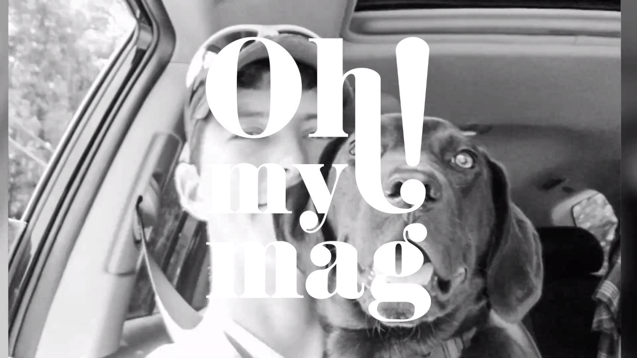 A man with hearing difficulties taught his deaf dog sign language