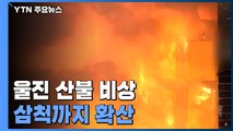 울진 산불 강풍 타고 삼척까지 확산...최근 10년 내 최대 규모 / YTN