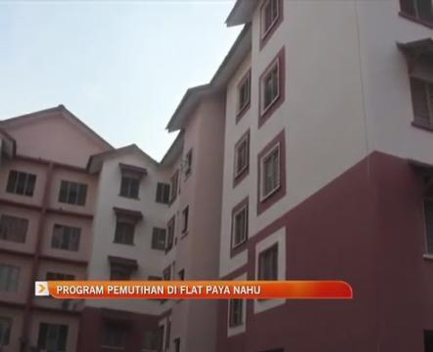 Program Pemutihan di Flat Paya Nahu