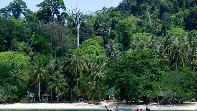 VOICI - Koh-Lanta : après son abandon en 2003, une ancienne aventurière s'explique sur sa décision