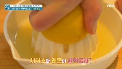 시서스와 찰떡궁합! 특급 재료의 정체는? [시서스 쌈장]
