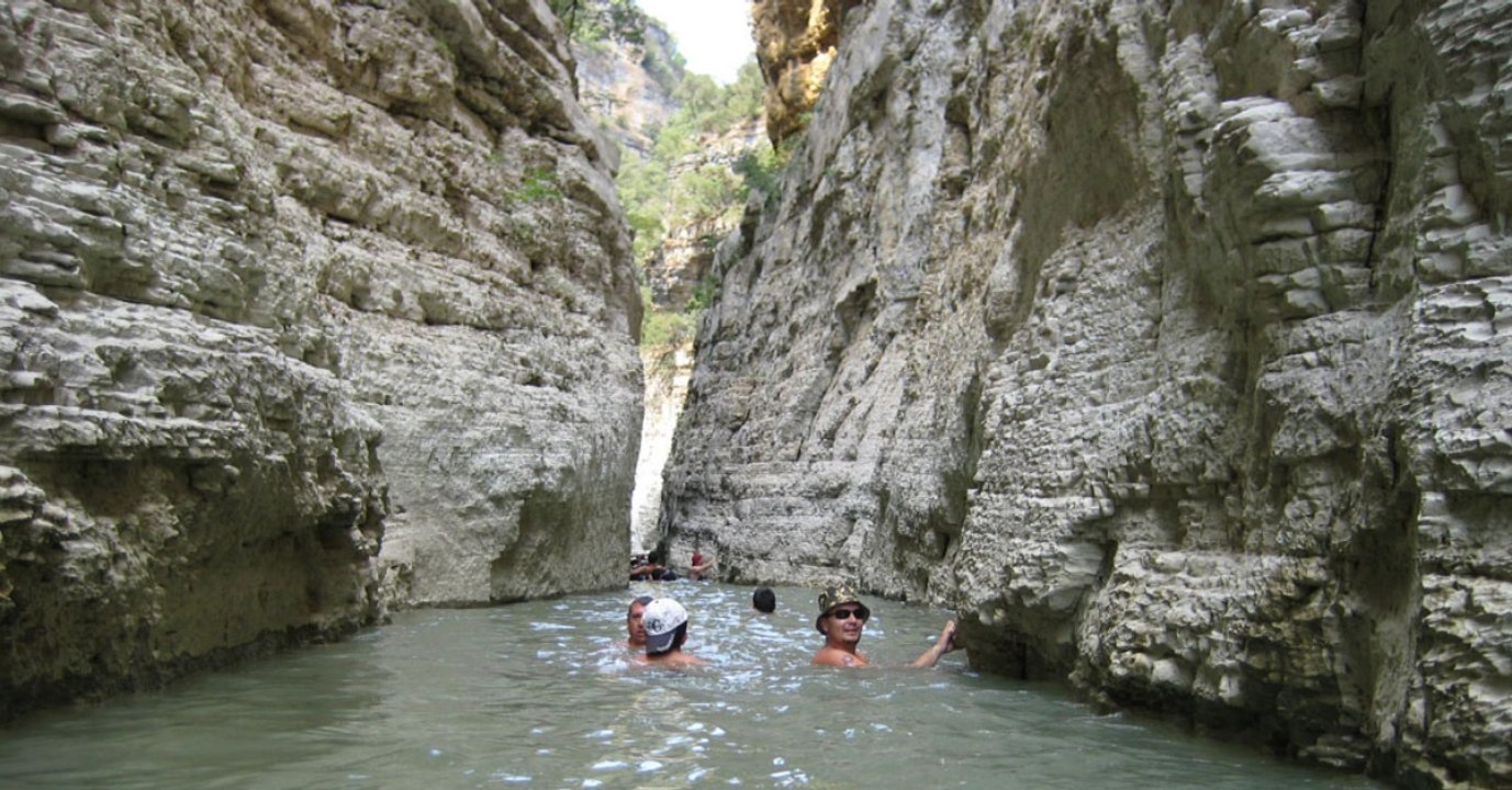 In 700 Meter Tiefe: Dieses Seeungeheuer stammt aus einer anderen Zeit